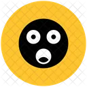 Frightened Smiley Streamline Kameleon Icon