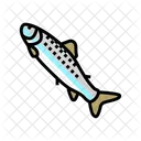 Smolt Fish  Icône