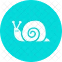 Snail Shell Sluggish Icon