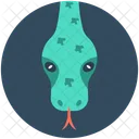 Snake Serpent Viper Icon