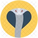 Snake Serpent Viper Icon