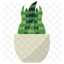 Snake Plant  Icon