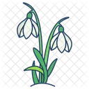 Snowdrop Flower Blossom Icône