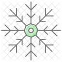 Snowflake Lineal Color Icon Icon