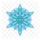 Snowflake Snow Cool Icon