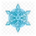 Snowflake Snow Cool Icon