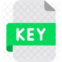 Software License Key File File File Type Icon