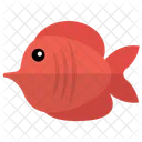 Soie Rouge Poisson Poisson Icône