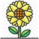 Sonnenblume  Symbol