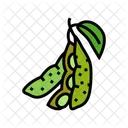 Soy Leaf Soy Plant Icon