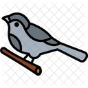 Sparrow Aviary Bird Symbol