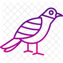 Sparrow Aviary Bird Symbol