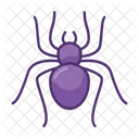 Spider Tarantula Bug Icon