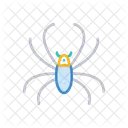 Spider Insect Bug Icon