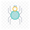 Bug Insect Spider Icon