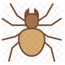 Spider Icon