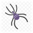 Spider Icon