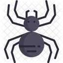 Spider Tarantula Scary Icon