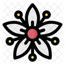 Spider Flower Floral Icon