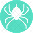 Spider  Icon