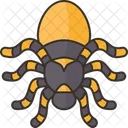 Spider  Icon