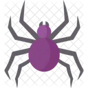 Spider  Icon