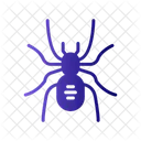 Spider  Icon