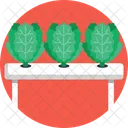 Bio Food And Agriculture Spinach Kale Icon