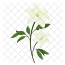 Flower Nature Plant Icon