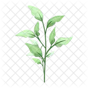 Spring leaves  Icon