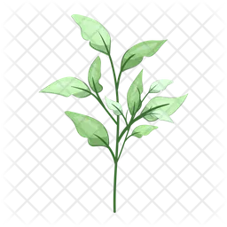 Spring leaves  Icon