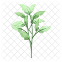 Spring Leaves Leaves Spring Leaf Icon