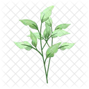 Spring leaves  Icon