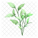 Spring leaves  Icon