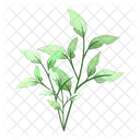 Spring leaves  Icon