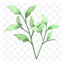 Spring Leaves Leaves Spring Leaf Icon