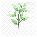 Spring Leaves Leaves Spring Leaf Icon