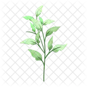 Spring Leaves Leaves Spring Leaf Icon