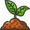 Sprout Tree Nature Icon