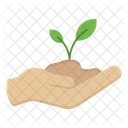 Plant Nature Hand Icon