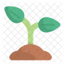 Sprout  Icon