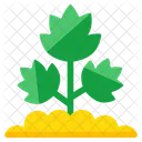 Mud Plant Sprout Growing Plant Icon