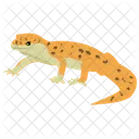 Squamata Reptile Geckos Icon