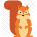 Squirrel  Icon