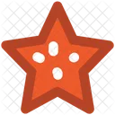 Star Ornament Ranking Icon