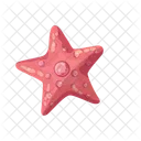 Star  Icon