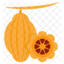 Star Fruit  Icon