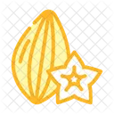 Star Fruit  Icon