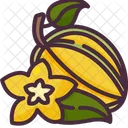 Star Fruit Carambola Fruit Icon