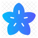 Star fruit  Icon